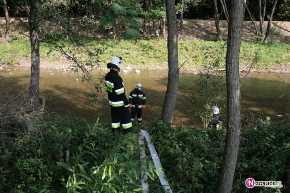 Powiatowe ćwiczenia straży na lodowisku w Gorlicach - zdjęcie 12