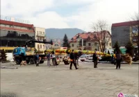 Tradycyjna palma stanęła na płycie rynku - zdjęcie główne