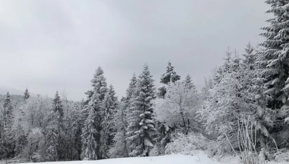 Dziś początek astronomicznej wiosny, a na zewnątrz... zima - zdjęcie 1