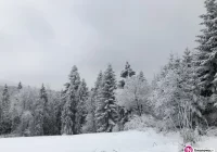Dziś początek astronomicznej wiosny, a na zewnątrz... zima - zdjęcie główne