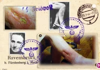 Niemiecki obóz  - wystąpienie dr Wandy Półtawskiej - zdjęcie główne