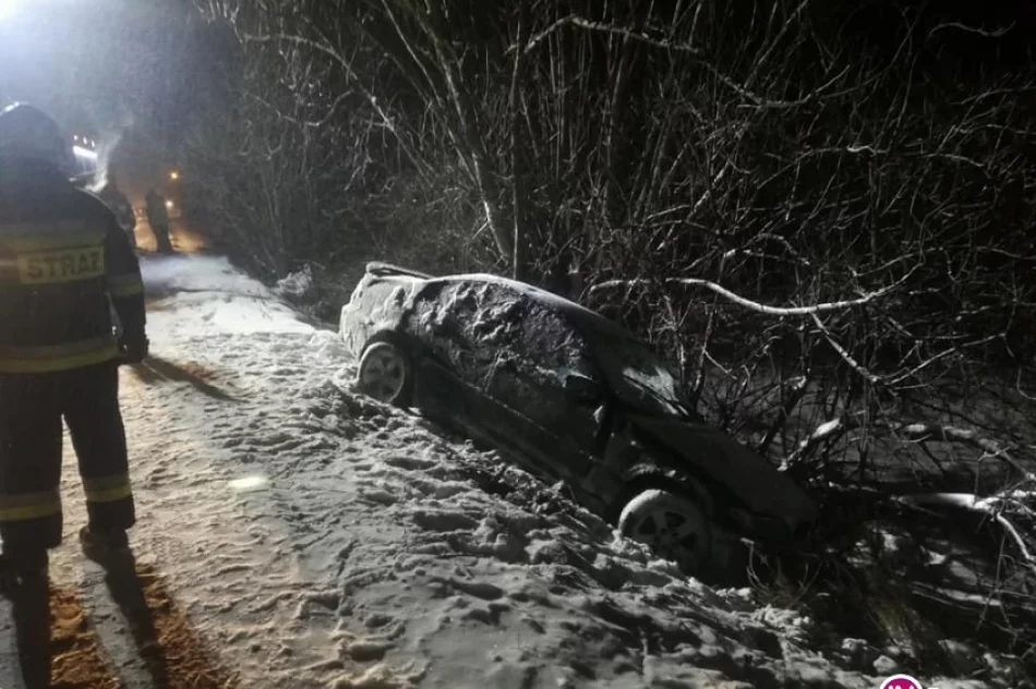 BMW wypadło z drogi i wjechało do rowu - zdjęcie 3