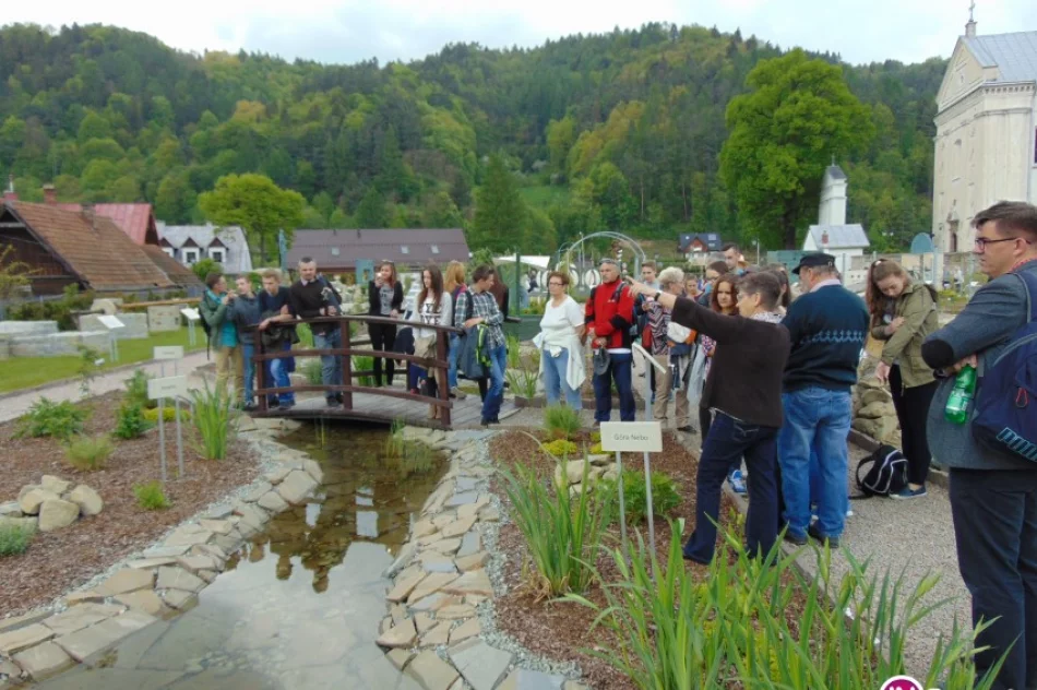 Rośliny w Piśmie Świętym - zdjęcie 2