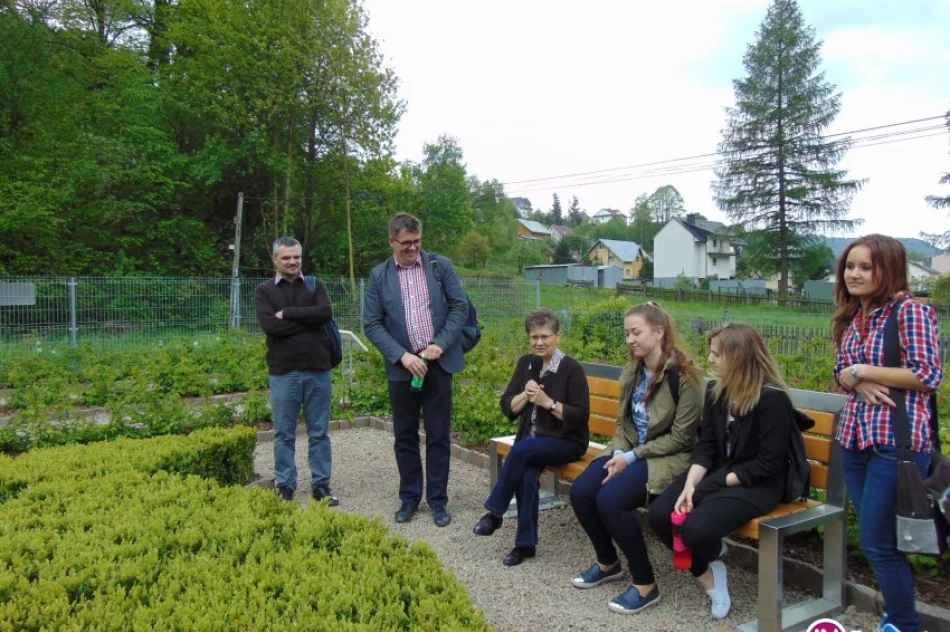 Rośliny w Piśmie Świętym - zdjęcie 3