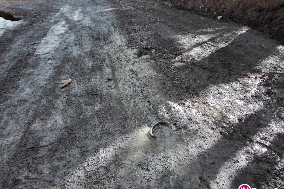 'Nie mamy dojazdu, toniemy w błocie' - zdjęcie 4