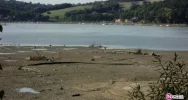 Jezioro Rożnowskie - ponad 6 m wody mniej - zdjęcie 4