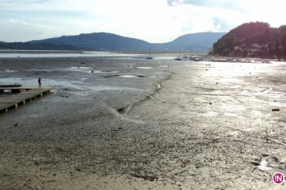 Zniknęła połowa Jeziora Rożnowskiego - zdjęcie 17