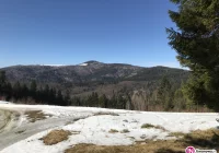 Ostrzeżenie o silnym wietrze - halnym - zdjęcie główne