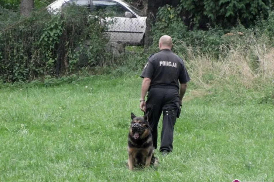 Koniec laby - zdjęcie 11