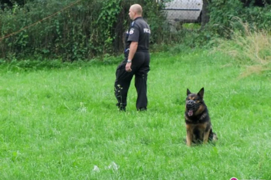 Koniec laby - zdjęcie 12