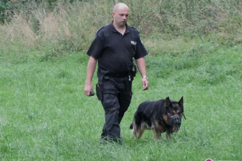 Koniec laby - zdjęcie 13