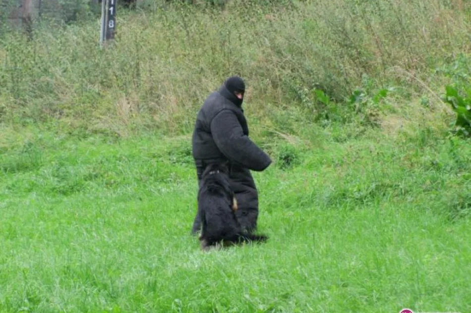 Koniec laby - zdjęcie 16