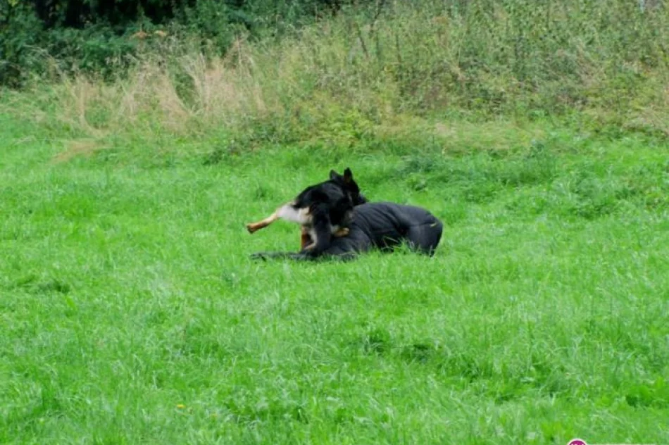 Koniec laby - zdjęcie 17