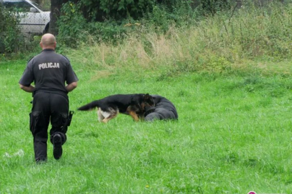 Koniec laby - zdjęcie 18