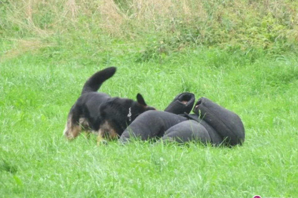 Koniec laby - zdjęcie 19