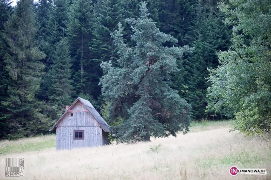 Złaz na Mogielicy - zdjęcie 7
