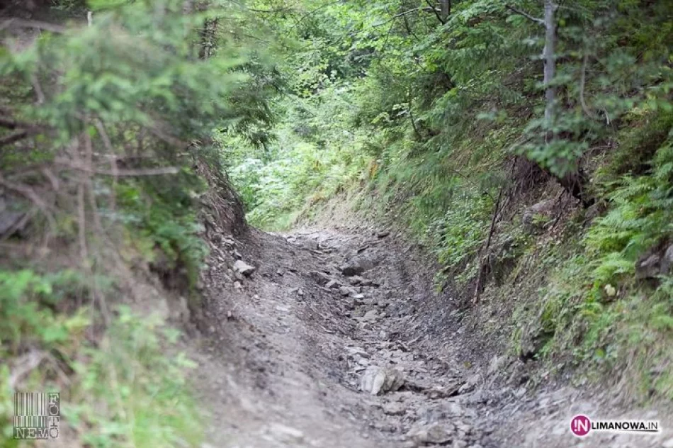 Złaz na Mogielicy - zdjęcie 8