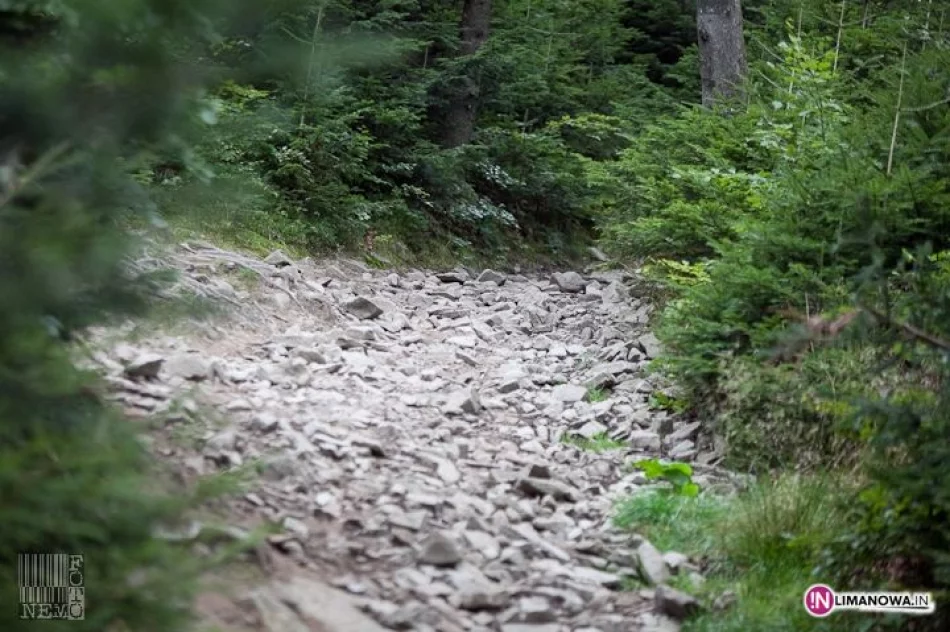 Złaz na Mogielicy - zdjęcie 10