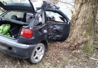Samochód uderzył w drzewo, 2 osoby ranne - zdjęcie główne