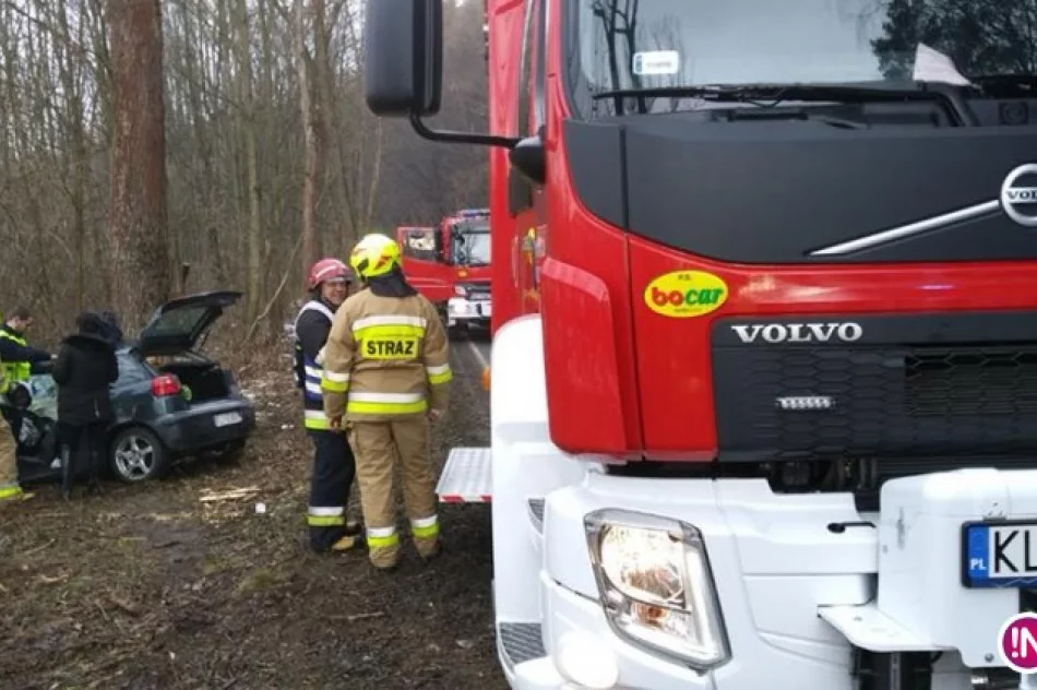 Samochód uderzył w drzewo, 2 osoby ranne - zdjęcie 2