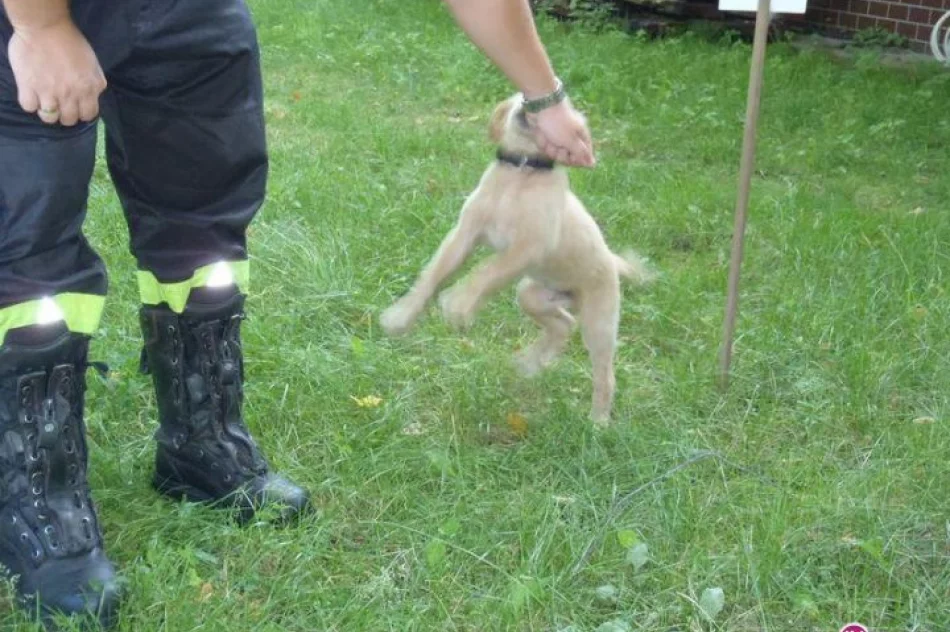 Lex będzie strażakiem - zdjęcie 7