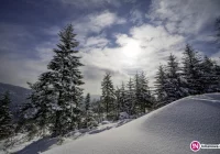 Ostrzeżenie o silnym mrozie - zdjęcie główne