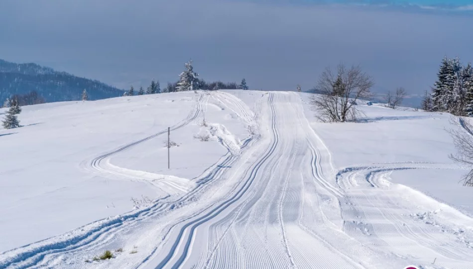 Jakie warunki na stokach narciarskich i trasach biegowych w regionie? - zdjęcie 1