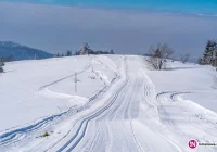 Jakie warunki na stokach narciarskich i trasach biegowych w regionie? - zdjęcie główne