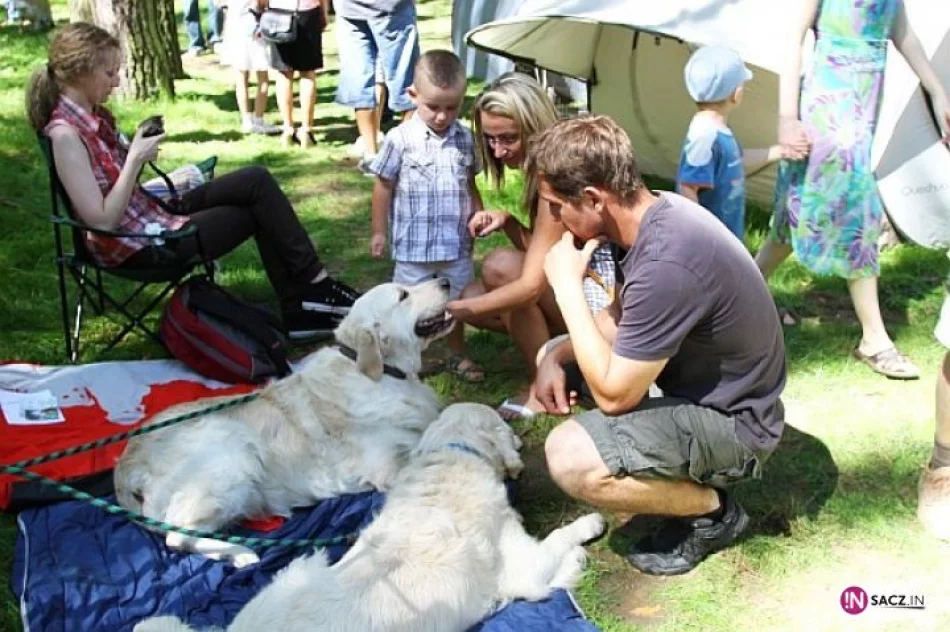 Nowosądecka Wystawa Psów Rasowych - zdjęcie 4