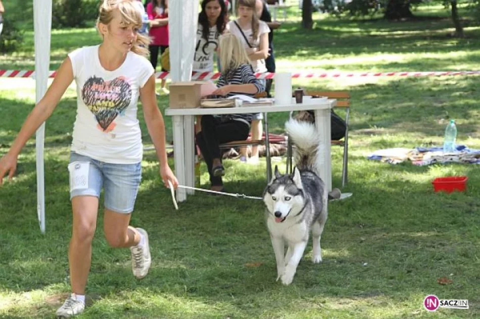 Nowosądecka Wystawa Psów Rasowych - zdjęcie 8