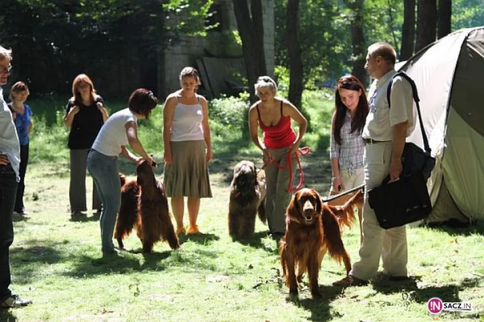 Nowosądecka Wystawa Psów Rasowych - zdjęcie 11