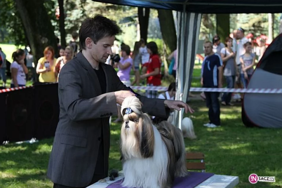 Nowosądecka Wystawa Psów Rasowych - zdjęcie 19