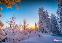 Mroźna noc - ostrzeżenie IMiGW. Zdjęcia: mroźny poranek na Mogielicy - zdjęcie główne