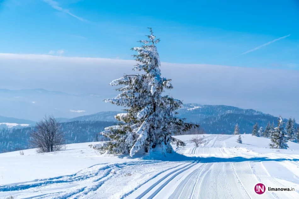 Justyna Kowalczyk dumna z trasy w Beskidzie Wyspowym - zdjęcie 3