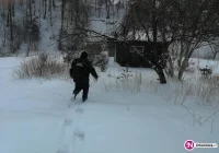 Zimowa akcja strażników miejskich - zdjęcie główne