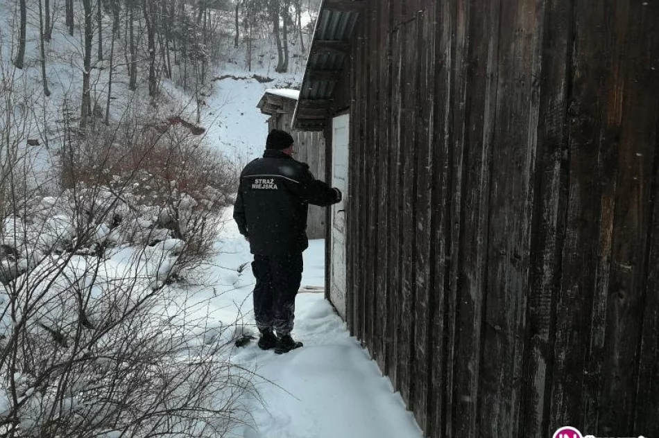 Zimowa akcja strażników miejskich - zdjęcie 2