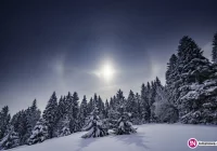 Silny mróz do 1 marca - ostrzeżenie IMiGW - zdjęcie główne