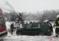 Samochód z trójką osób uderzył w drzewo - zdjęcie główne