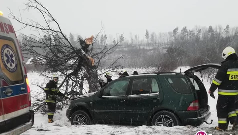 Samochód z trójką osób uderzył w drzewo - zdjęcie 1