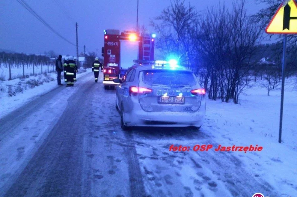 Samochód z trójką osób uderzył w drzewo - zdjęcie 3