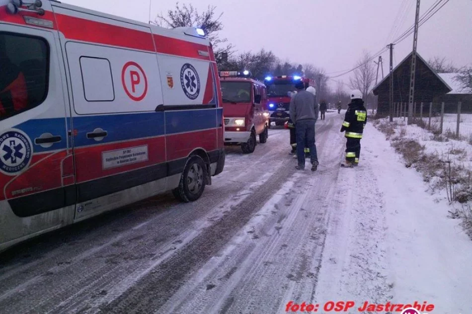 Samochód z trójką osób uderzył w drzewo - zdjęcie 4