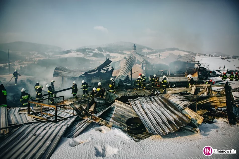 Spłonął warsztat, jego wyposażenie i kilkanaście samochodów. Ponad 800 tys. zł strat (wideo) - zdjęcie 4