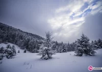 Ostrzeżenie meteorologów: silny mróz - zdjęcie główne