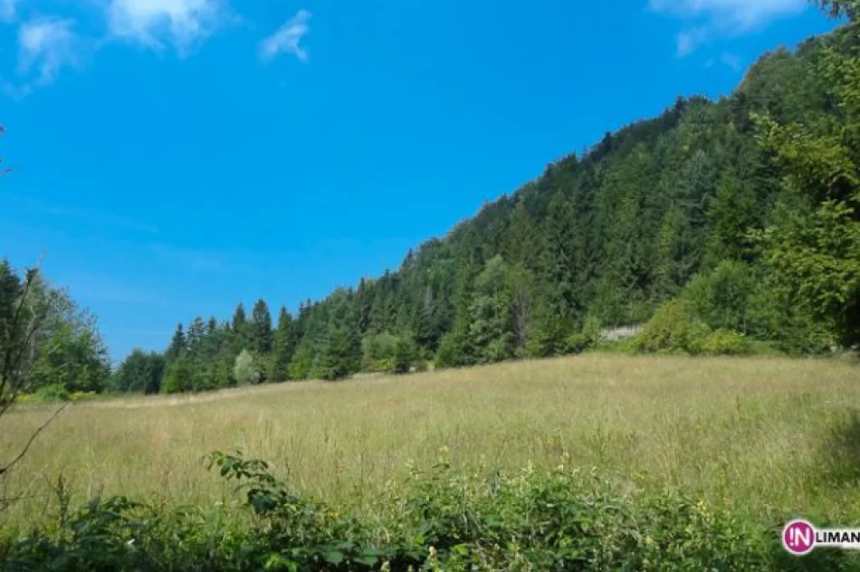 Złaz na Łopieniu - zdjęcie 5