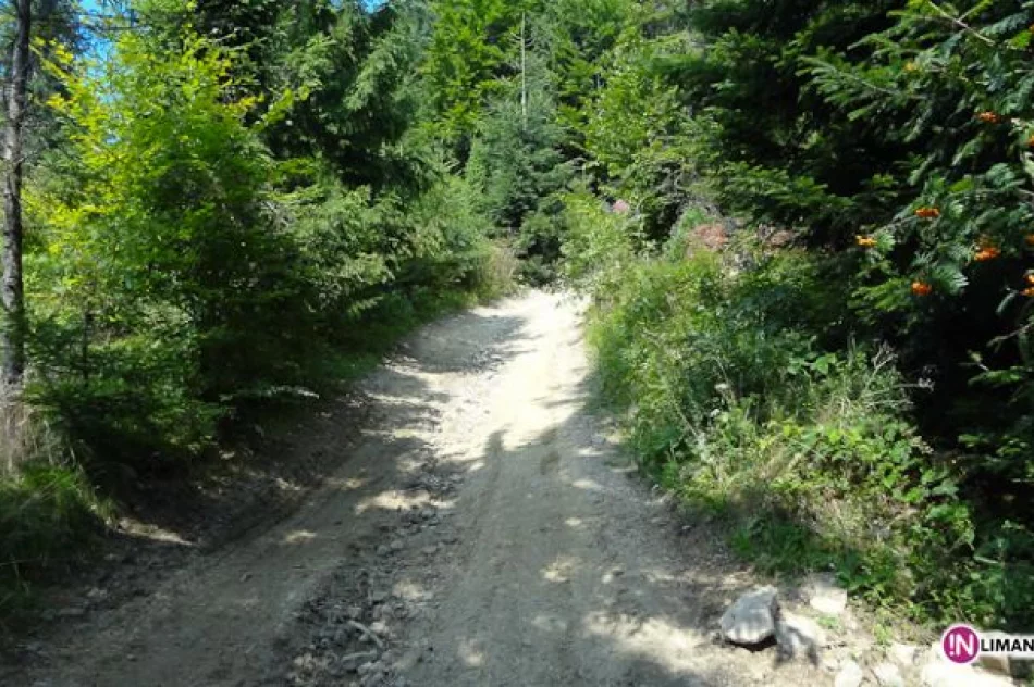 Złaz na Łopieniu - zdjęcie 6