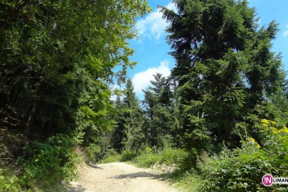 Złaz na Łopieniu - zdjęcie 8