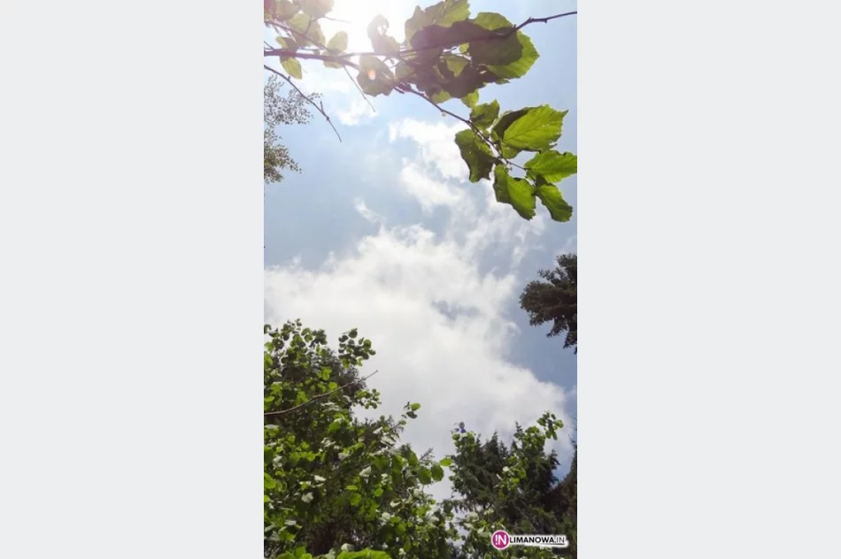 Złaz na Łopieniu - zdjęcie 9