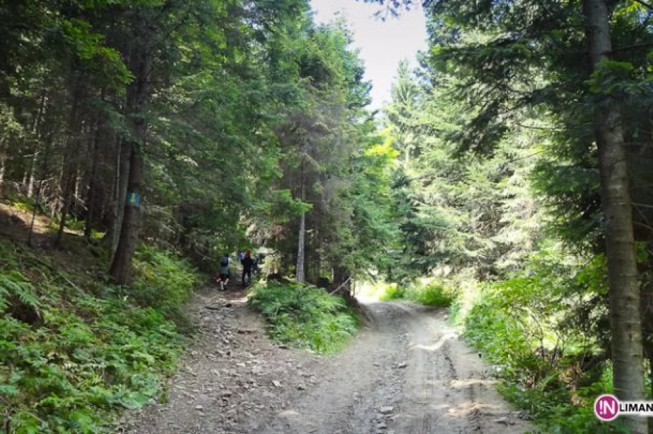 Złaz na Łopieniu - zdjęcie 10