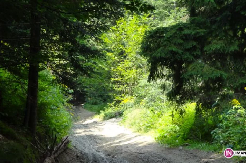 Złaz na Łopieniu - zdjęcie 11