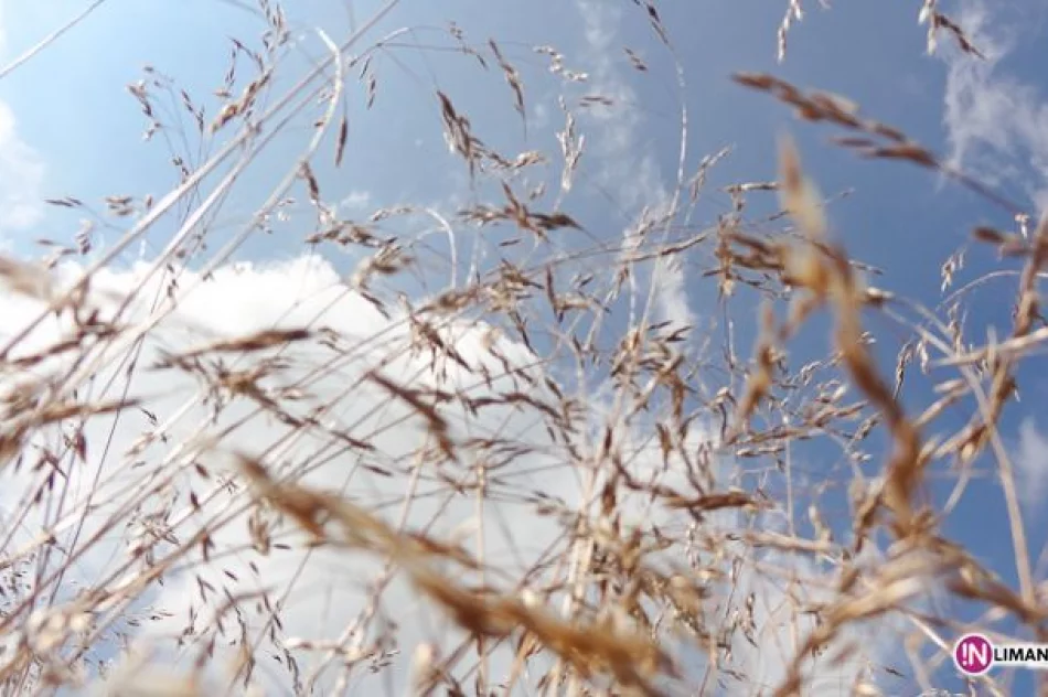 Złaz na Łopieniu - zdjęcie 17